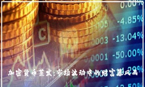 加密货币蒸发：市场波动中的财富暴风雨
