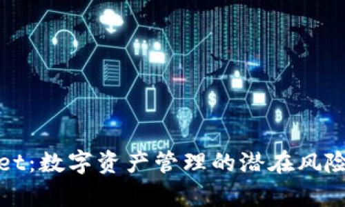 探秘tpWallet：数字资产管理的潜在风险与解决方案