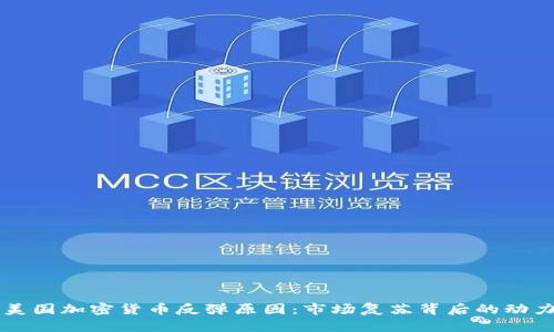 美国加密货币反弹原因：市场复苏背后的动力