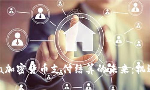 探索Visa加密货币支付结算的未来：机遇与挑战