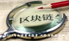 2023年加密货币投资：风险