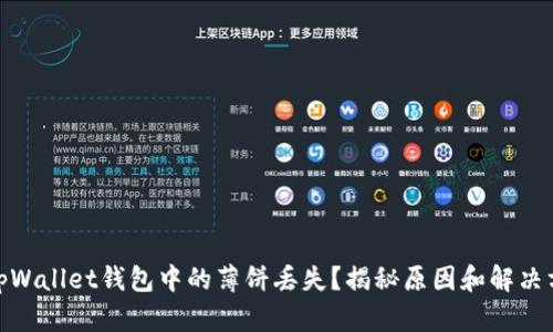 : tpWallet钱包中的薄饼丢失？揭秘原因和解决方案