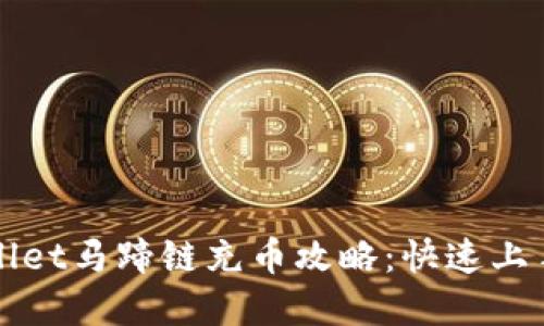 tpWallet马蹄链充币攻略：快速上手指南