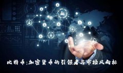 比特币：加密货币的引领