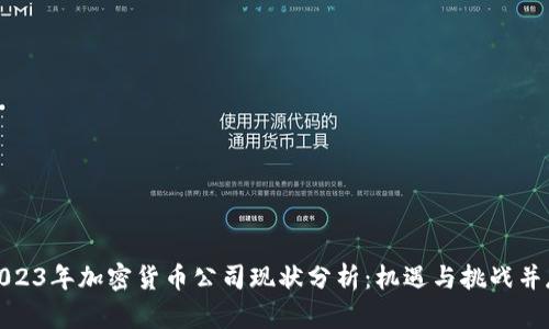 2023年加密货币公司现状分析：机遇与挑战并存