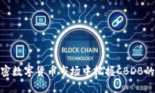如何在加密数字货币市场中把握CBDB的投资机遇
