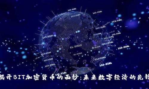 揭开BIT加密货币的面纱：未来数字经济的先锋
