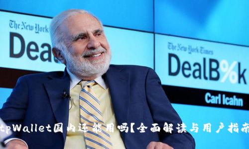 tpWallet国内还能用吗？全面解读与用户指南