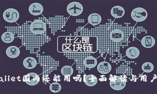 tpWallet国内还能用吗？全面解读与用户指南
