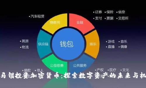 淡马锡投资加密货币：探索数字资产的未来与机遇