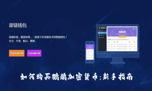 如何购买鹦鹉加密货币：新手指南