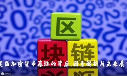 美国加密货币暴涨的背后：因素解析与未来展望