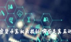 2023年加密货币真相大揭秘