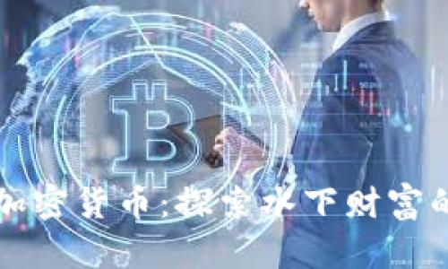 海妖加密货币：探索水下财富的未来