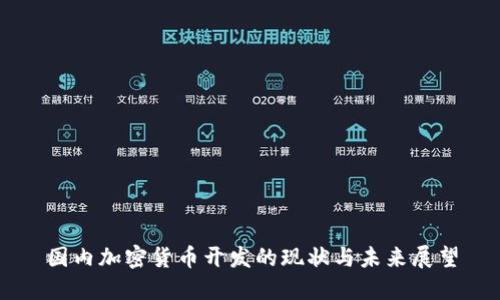 国内加密货币开发的现状与未来展望