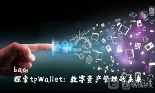 bao
探索tpWallet: 数字资产管理的未来