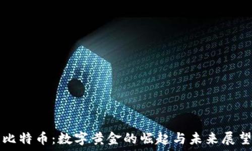   
比特币：数字黄金的崛起与未来展望