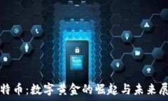   比特币：数字黄金的崛起