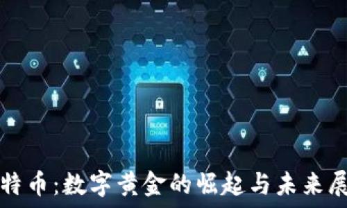   
比特币：数字黄金的崛起与未来展望