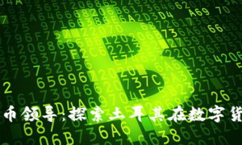 土耳其加密货币领导：探索土耳其在数字货币领域的未来