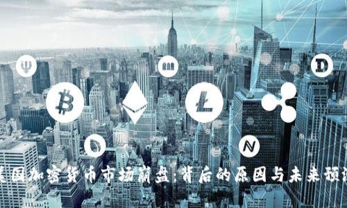 美国加密货币市场崩盘：背后的原因与未来预测