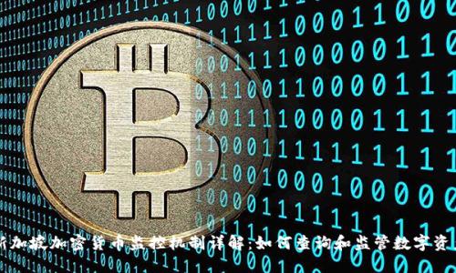 新加坡加密货币监控机制详解：如何查询和监管数字资产