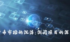 加密货币市场的沉浮：倒
