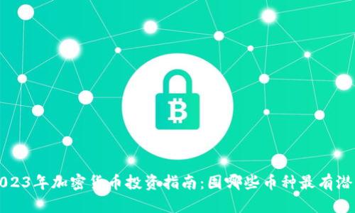 2023年加密货币投资指南：囤哪些币种最有潜力