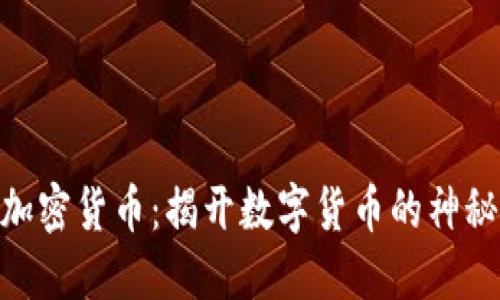 WTF加密货币：揭开数字货币的神秘面纱