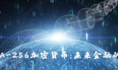 揭秘SHA-256加密货币：未来