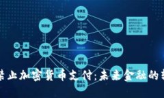  全面禁止加密货币支付：