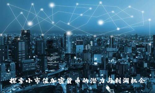 探索小市值加密货币的潜力与利润机会