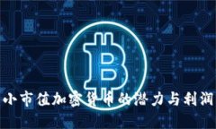 探索小市值加密货币的潜