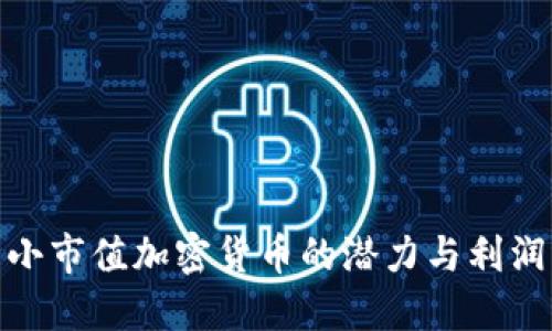 探索小市值加密货币的潜力与利润机会