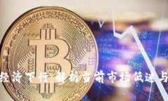 加密货币经济下行：解析
