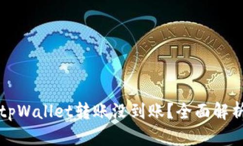 为什么你的tpWallet转账没到账？全面解析及解决方案