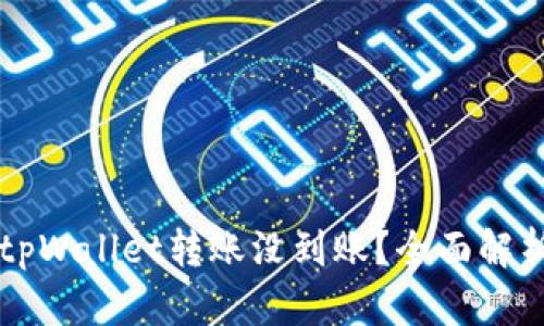 为什么你的tpWallet转账没到账？全面解析及解决方案