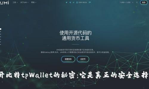 揭开比特tpWallet的秘密：它是真正的安全选择吗？