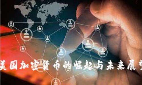 美国加密货币的崛起与未来展望