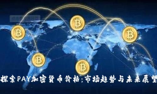 探索PAY加密货币价格：市场趋势与未来展望