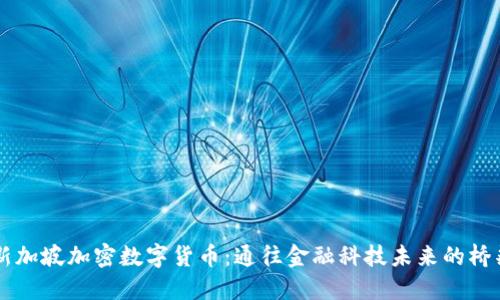 新加坡加密数字货币：通往金融科技未来的桥梁