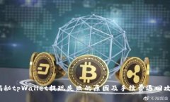  揭秘tpWallet提现失败的原