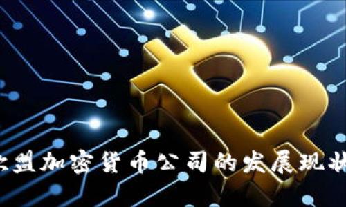 深度剖析：欧盟加密货币公司的发展现状与未来潜力