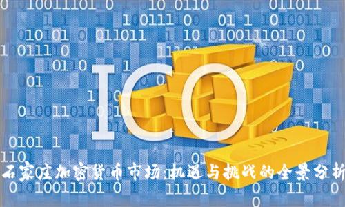 石家庄加密货币市场：机遇与挑战的全景分析