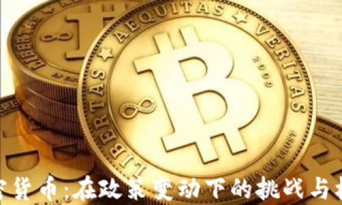 
加密货币：在政策变动下的挑战与机遇