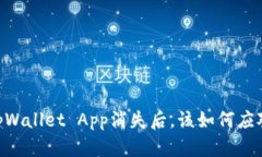 ## 当tpWallet App消失后，该