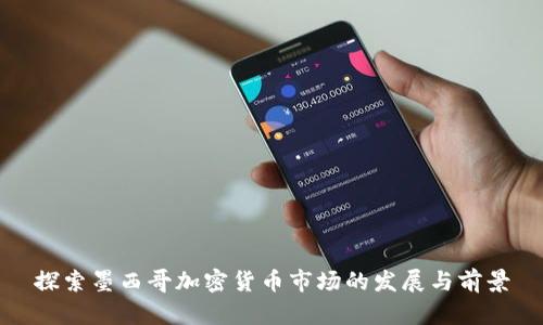 探索墨西哥加密货币市场的发展与前景