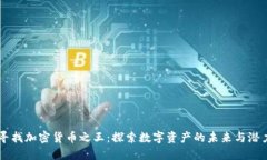 寻找加密货币之王：探索