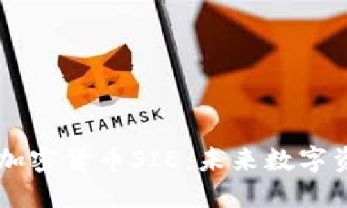 深入了解加密货币SIE：未来数字资产的新星