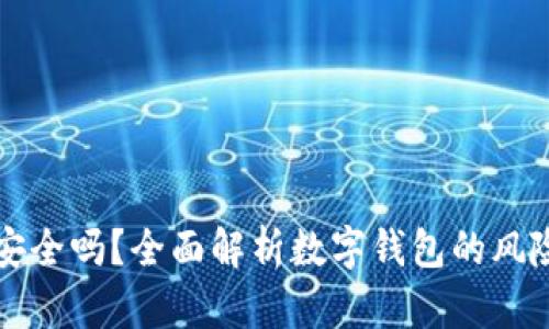 tpWallet安全吗？全面解析数字钱包的风险与安全性